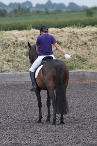 ISIS Dressage Challenge 2008